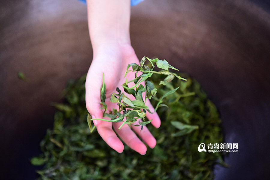 【新青年】90后茶葉掌門:籌百萬(wàn)建茶文化空間