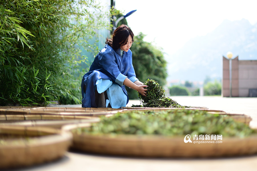 【新青年】90后茶葉掌門:籌百萬(wàn)建茶文化空間