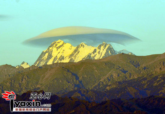 “帽子”變化多端。（圖三）