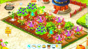 曾經(jīng)風(fēng)靡一時(shí)的“偷菜”可能被取消。圖為一位QQ好友在農(nóng)場“種”的菜。