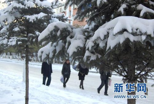 哈爾濱、大慶降下今年入冬以來第一場雪