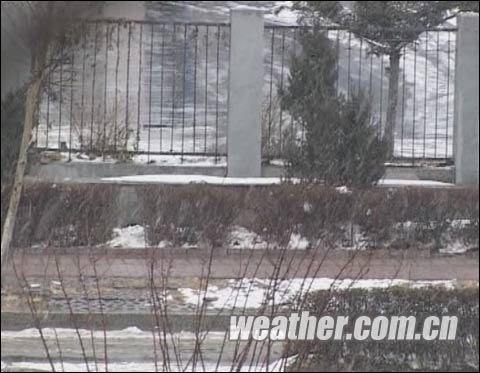 11月11日，長春市再次雪花紛紛(來源：吉林影視中心)