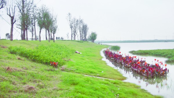 青島大沽河治理全線(xiàn)開(kāi)花 混凝土河壩將芳草碧連天