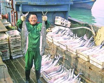 青島本地春鲅魚價格漲1半 200元1條女婿難笑