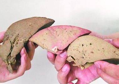 三種豬肝只有得利斯豬肝(中間)顏色不純，淺灰色中摻雜著粉紅色。