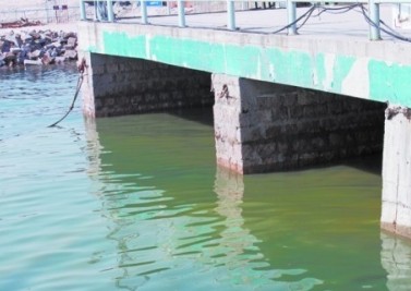 污水就是從這兩個洞口流出來的。