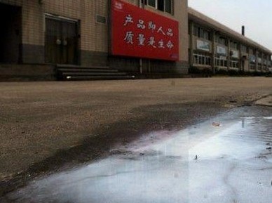 光明乳業(yè)廠門口被傾倒的牛奶。
