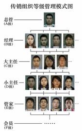 青島警方端掉特大傳銷組織