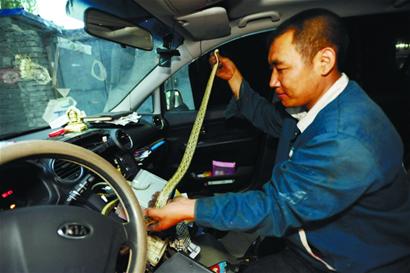 轎車大卸八塊揪出黑眉錦蛇 長度達(dá)兩米