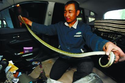 轎車大卸八塊揪出黑眉錦蛇 長度達(dá)兩米