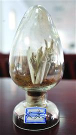 8大常見(jiàn)毒品亮真容 