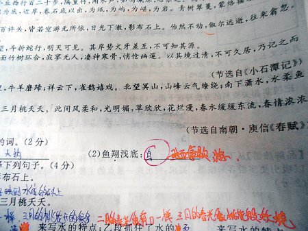 這是6月18日，網(wǎng)友“啃梨掉顆牙”發(fā)在網(wǎng)上的試卷照片。