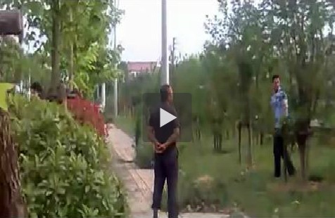 城管群毆大學生