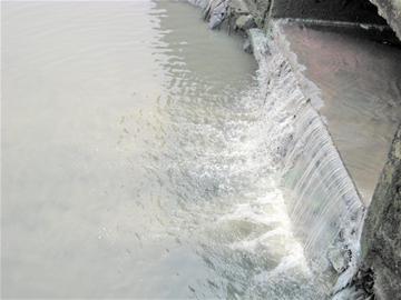 菏澤路暗渠吐臟水晝夜無休 海面被染成綠色 菏澤路暗渠吐臟水晝夜無休 海面被染成綠色