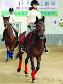 青島家長花60萬買溫血寶馬 給孩子練馬術專用