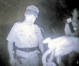 浮山后小區(qū)驚現(xiàn)菜花蛇 浮山后小區(qū)驚現(xiàn)菜花蛇