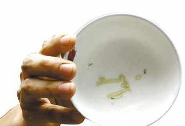 吉之島超市掛面被曝生蟲 致孕婦嘔吐不止