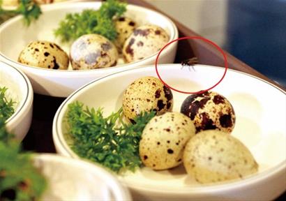 青島大公島酒店上菜前臟抹布擦盤子 辣椒長(zhǎng)毛醬過期