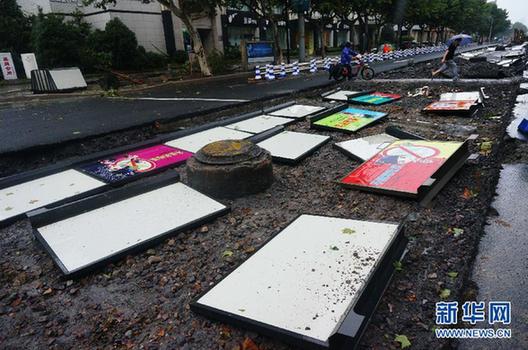 強(qiáng)臺(tái)風(fēng)?？貏?chuàng)杭州 吹斷電線(xiàn)桿拔起大樹(shù)