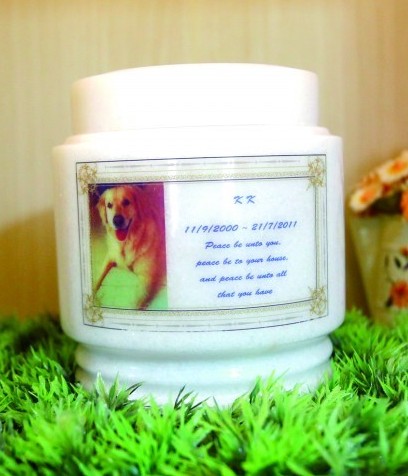 青島成立首家動(dòng)物殯儀館 舉行告別儀式設(shè)靈堂