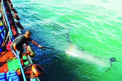 小青島近?，F(xiàn)千米油污帶 夾帶漂浮垃圾來源不詳