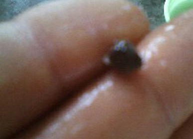 達(dá)利園八寶粥硌掉牙 客服稱或是原料帶入