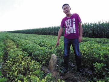 山村上演“瘋狂的石頭”界石被“挖”賣了50萬(wàn)