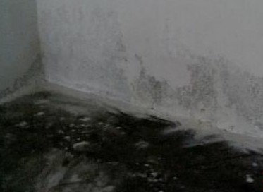 青島萬(wàn)科三百萬(wàn)豪宅大面積滲水 開(kāi)發(fā)商稱正常