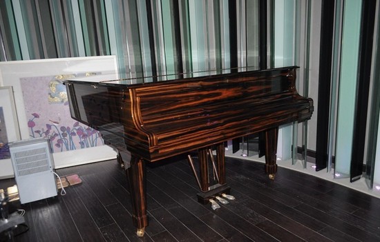 朗朗千萬會(huì)所奢華內(nèi)場照首曝光 處處洋溢著藝術(shù)的氣息