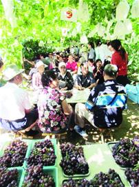 青島四大景區(qū)首日納客11萬(wàn)人次