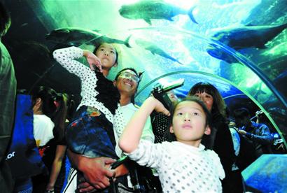 6大景區(qū)1天納客37萬 迎首個高峰