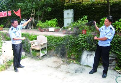 延吉路空地現(xiàn)絕戶網 小鳥被掛奄奄一息