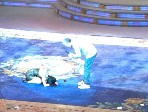 黃圣依下跪拜趙本山為師成趙家班 改唱二人轉