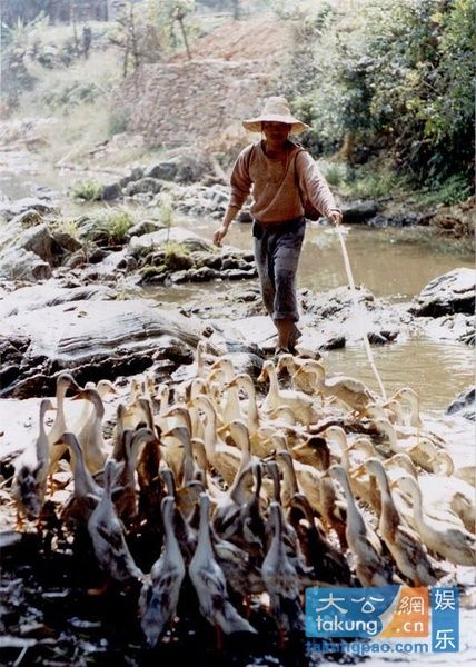 莫言經(jīng)典作品大盤點(diǎn) 你看過幾部