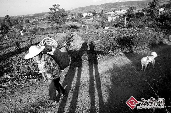 小沖村路口已被警方封鎖，圈中就是案發(fā)現(xiàn)場(chǎng)