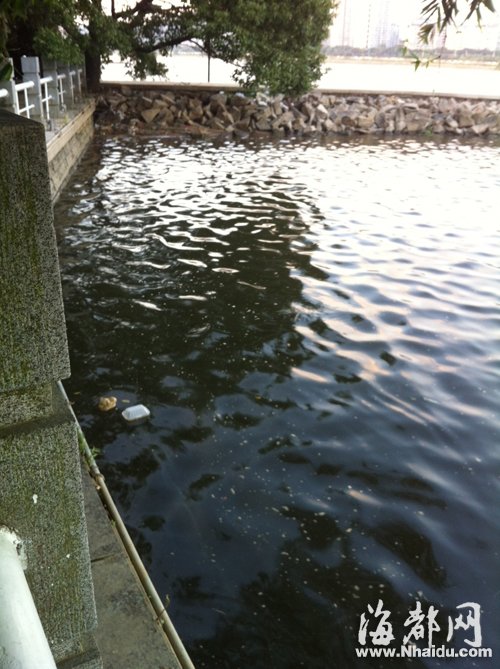 閩江公園南園沿線，閩江混雜污水，漂著垃圾，散發(fā)出腥臭。