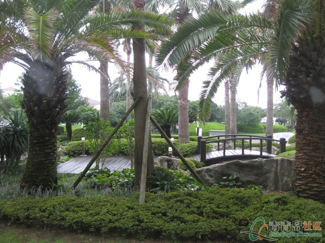 點(diǎn)擊看原圖