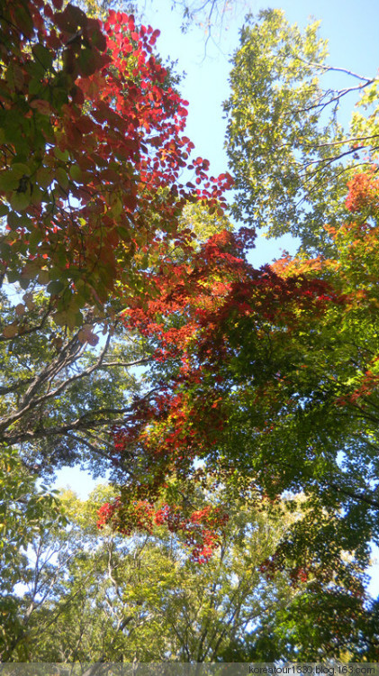 走啊喲，順天！ - KTO-山東 - 韓國旅游發(fā)展局 山東代表處