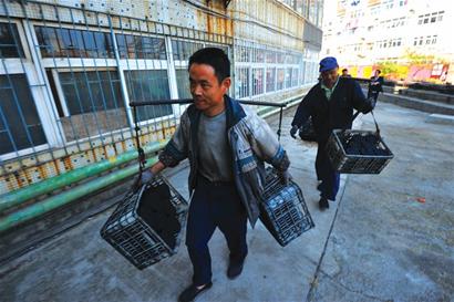 現(xiàn)代賣炭翁:挑百斤煤一口氣爬5樓 青島不到50人 現(xiàn)代賣炭翁:挑百斤煤一口氣爬5樓 青島不到50人