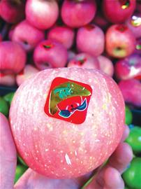 水果商標(biāo)粘貼部位有毒 滲入果肉致人不孕不育 水果商標(biāo)粘貼部位有毒 滲入果肉致人不孕不育