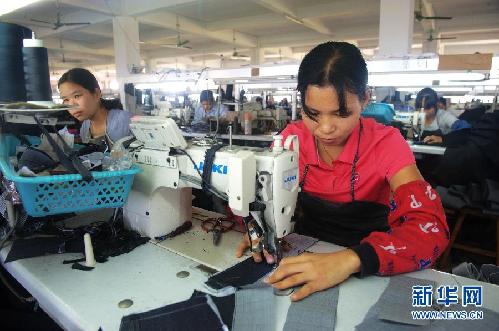 （走基層·喜迎十八大）（2）廣西玉林：特色農(nóng)業(yè)鼓起農(nóng)民錢袋子