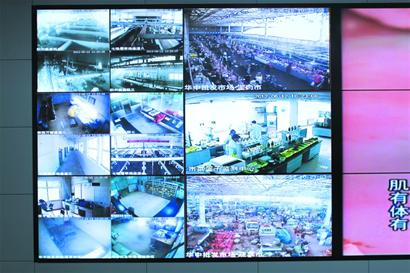 青島蔬菜追溯體系初步建成 手機刷一下可看產地 青島蔬菜追溯體系初步建成 手機刷一下可看產地