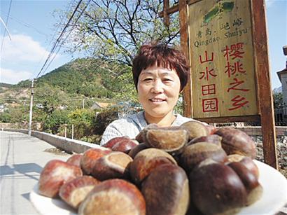 嶗山大貢栗現(xiàn)身農(nóng)家宴 嶗山大貢栗現(xiàn)身農(nóng)家宴