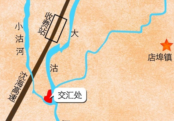 大小沽河交匯處成鳥(niǎo)兒天堂 天藍(lán)水凈野鴨紛飛