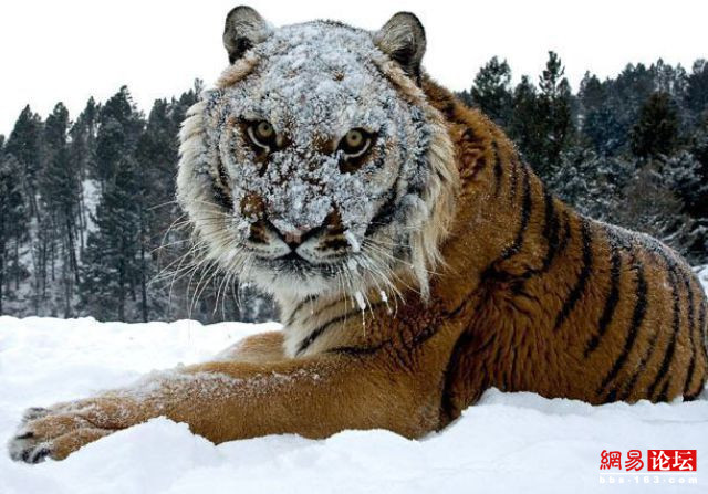 盤點(diǎn)讓人笑暈倒的囧圖 絕對(duì)霸氣