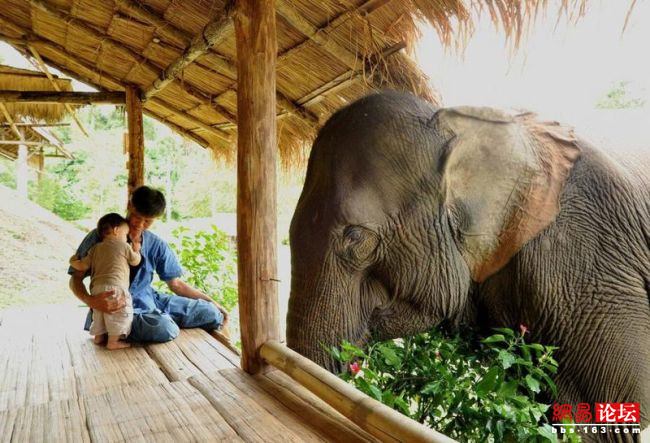 盤點(diǎn)讓人笑暈倒的囧圖 絕對(duì)霸氣