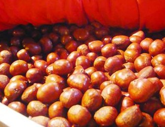6個栗子相當(dāng)于一碗米飯 1天吃2斤或致胃出血
