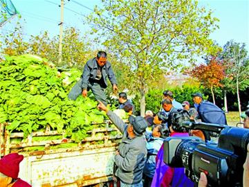 65噸便宜菜3小時(shí)全賣光 65噸便宜菜3小時(shí)全賣光