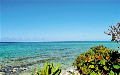 西沙游最快年內(nèi)開通 國內(nèi)游客玩一趟或花上萬 西沙游最快年內(nèi)開通 國內(nèi)游客玩一趟或花上萬