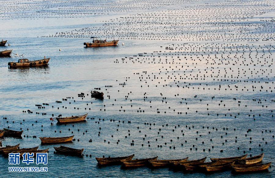 （社會）（4）我國沿海11個海洋功能區(qū)劃全部獲批將助推海洋經(jīng)濟發(fā)展戰(zhàn)略